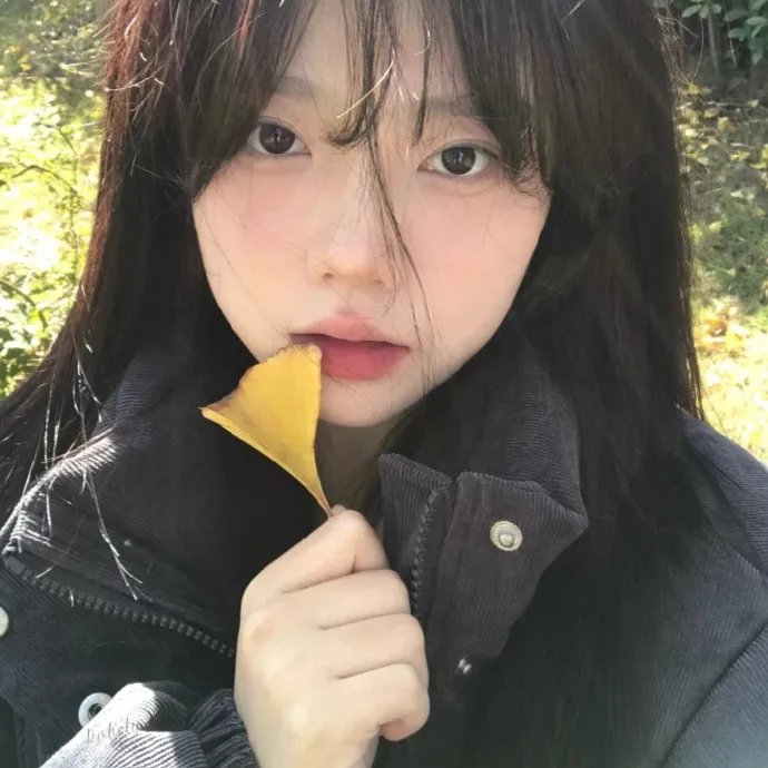 交响情人梦 巴黎篇